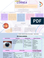 Microcornea