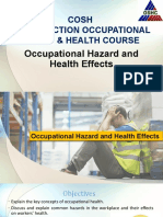 Occupational Hazard and Health Effects