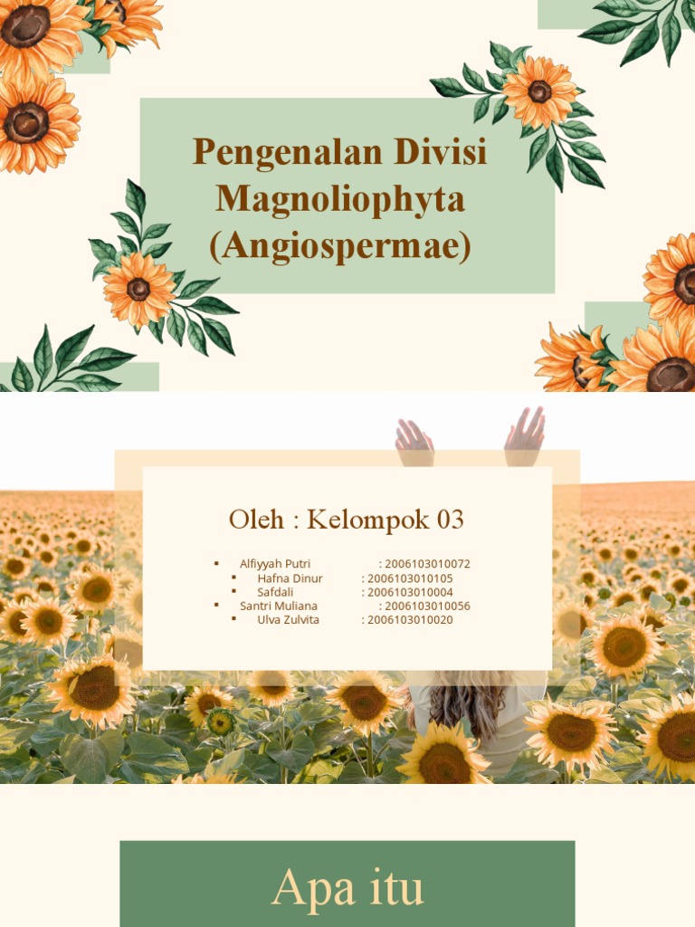 Pengenalan Divisi Magnoliophyta | PDF