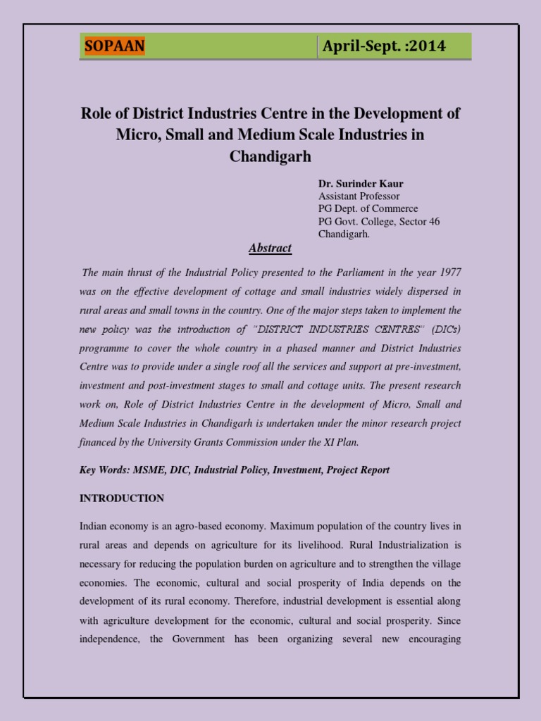 Role of District Industries Centre PDF Entrepreneurship Economic