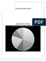 Socio Economic Status: Distribution of Income