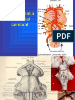 Nervi Cranieni Prof - PPT - 0