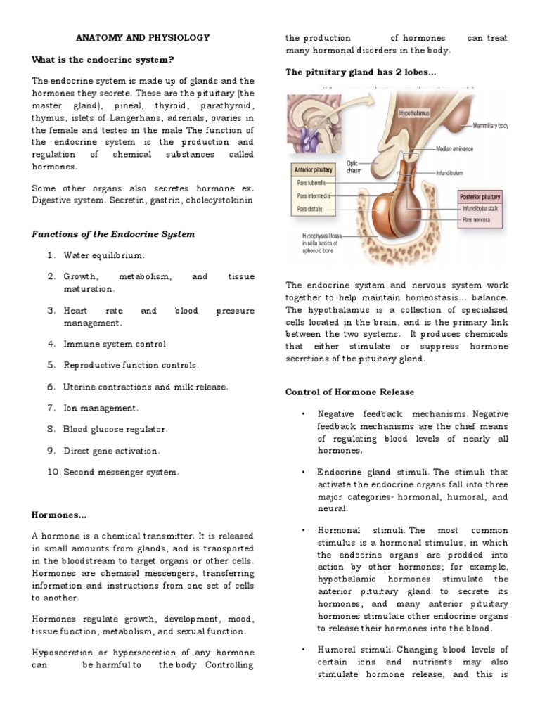 ANATOMY AND PHYSIOLOGY of ADRENAL GLANDS AND SIADH & DI | PDF ...