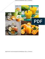 SAYA Fruit Juice Processing Enterprise Business Plan