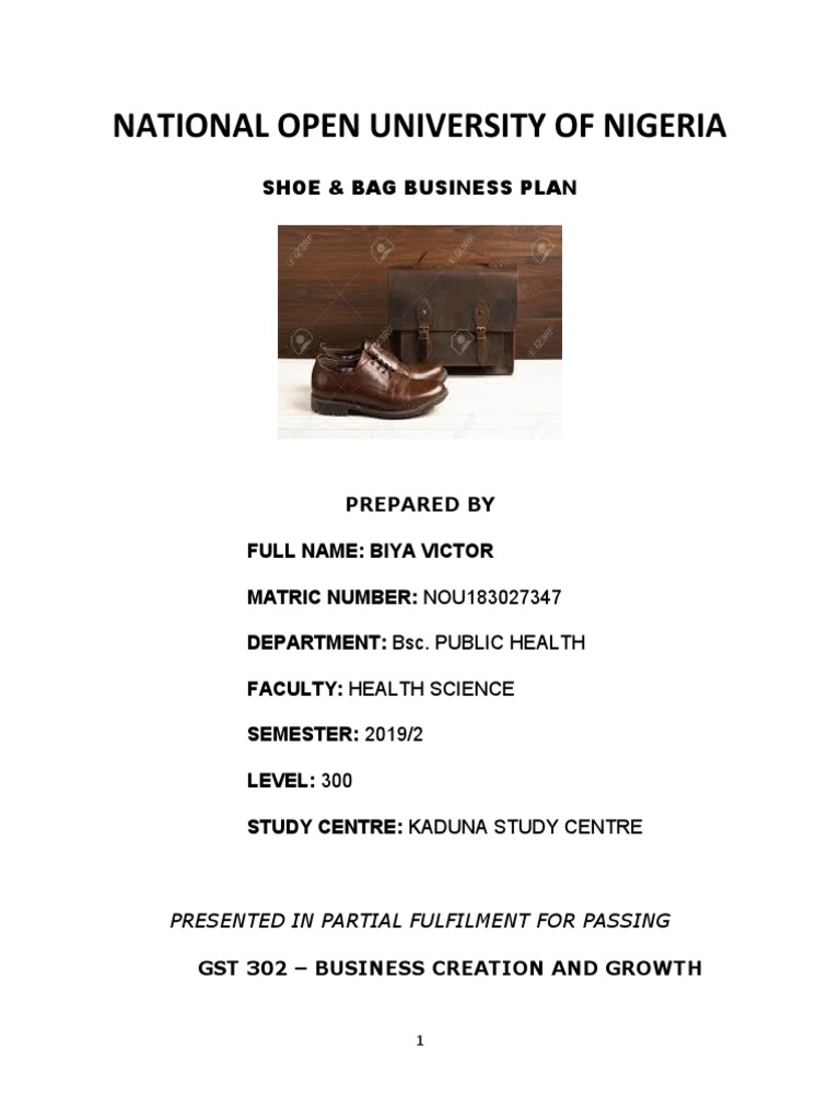 Shoe and Bag Business Plan PDF Retail Economies