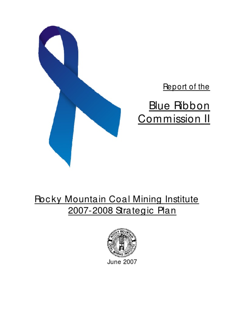 2007 Blue Ribbon Commission II Report PDF Goal Board Of Directors