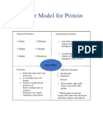 Frayer Model of Protein For Portfolio