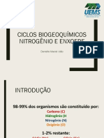 Ciclo Biogeoquimico