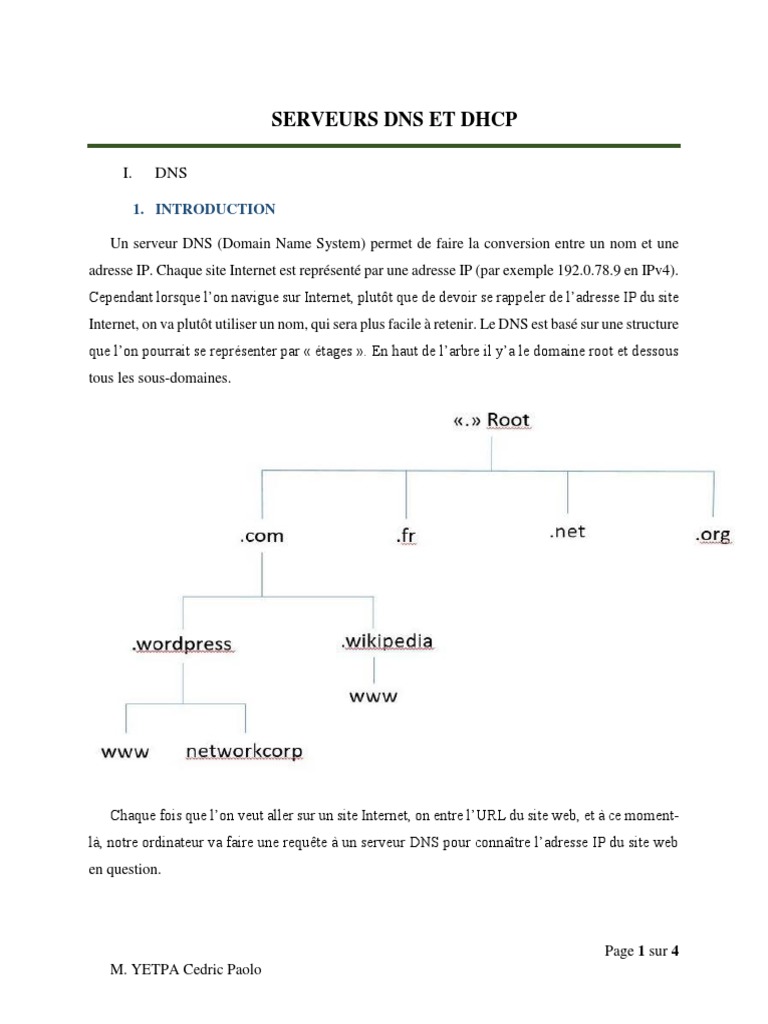 Serveurs DNS et DHCP : Guide Essentiel | PDF | Système de noms de ...