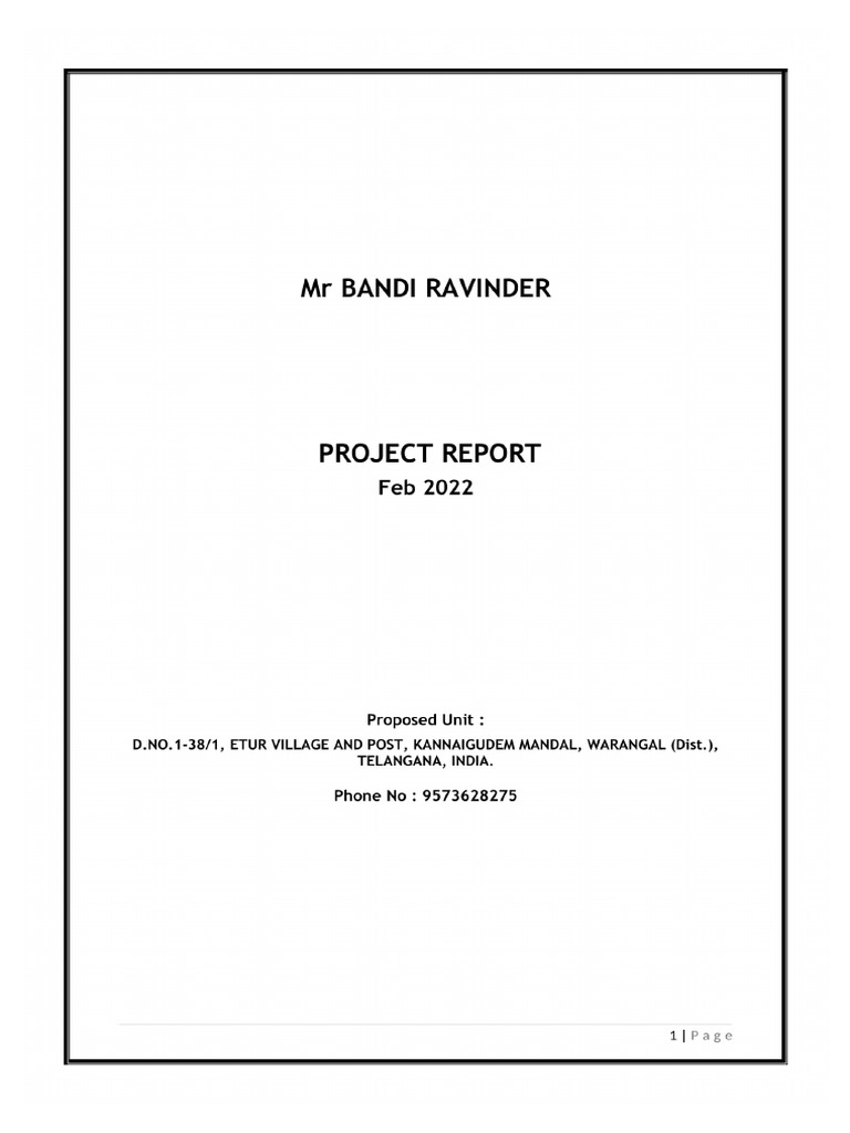 Sample Project Report | PDF