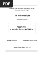 TP Informatique: Raport N 01 Introduction To MATLAB