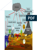 Ciclo Del Carbono Correción.
