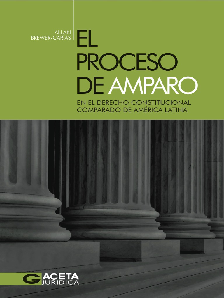 Proceso de Amparo en El Derecho Comparado | PDF | Habeas corpus ...
