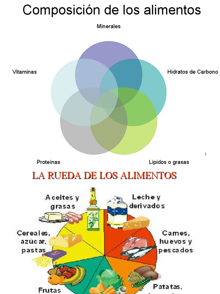 Composicion de Los Alimentos | PDF | Alimentos | Dieta y nutrición