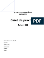 An 3 - Caiet Practica FEG - 2020