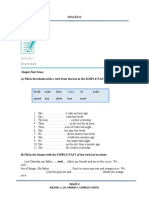 Simple Past Tense Exercises