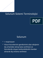 5-Solunum Sistemi Terminolojisi