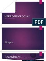 Neurofisiología I: Propiedades de la neurona y sinapsis químicas