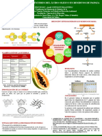 Síntesis Enzimática de Ésteres Del Ácido Oleico en Residuos de La Papaya