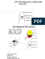 DEVELOPMENT OF THE FACE, NOSE AND PALATE