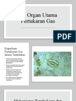 2.2 Organ Utama Pertukaran Gas