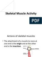 Skeletal Muscle Activity