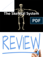 The Skeletal System - LAB