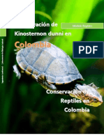 Conservación Kinosternon dunni Colombia