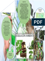 Mapa Mental Ambiental