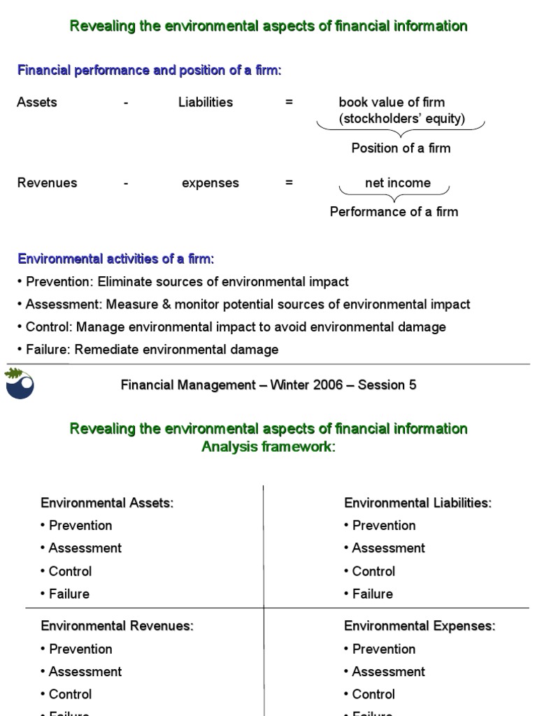 Revealing The Environmental Aspects of Financial Information | PDF ...