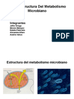 Estructura metabólica microbiana