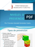 5 Niveles de Prevencion