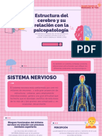 U2 Act. 1presentaciónestructuradelcerebroypsicopatologia