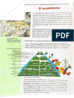 Actividad de Aplicación 20 de Septiembre.