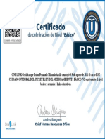 Hse Cuidado Integral Del Increyble y Del Medio Ambiente Básico (V2) - Certificado de Capacitación 26776