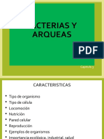 Características y clasificación de bacterias y arqueas