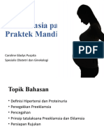 Preeklamsia Pada Praktek Mandiri Bidan