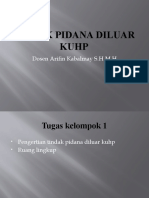 Tindak Pidana Diluar Kuhp