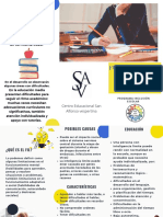 TRIPTICO FUNCIONAMIENTO INTELECTUAL LIMITROFE FIL