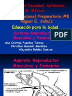 Sistema reproductor masculino y femenino