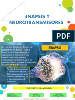 Neurotransmisores