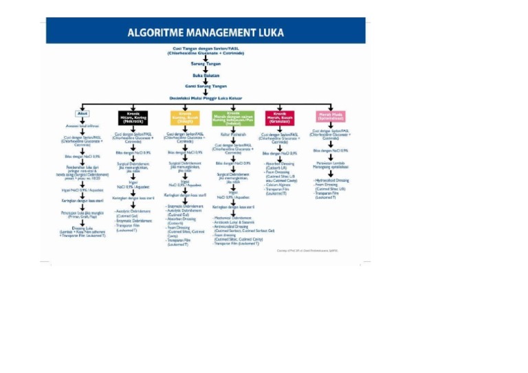 Algoritma Luka | PDF