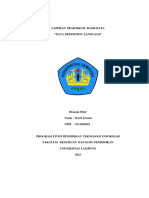 Laporan Praktikum 2 Basis Data Davit Irawan