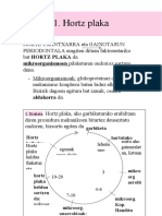 Azterketa 1. Gaia