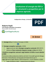Agro_energia_Papili_Rovigo_12_12-DM 2019 -BIOGAS E BIOMETANO