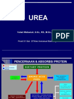 Metabolisme Zat Gizi Makro 14 - Urea