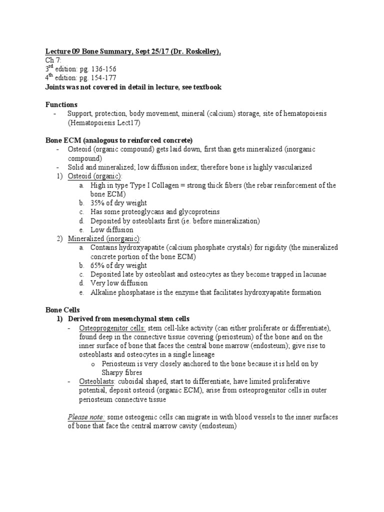 Everythings Normal Your Bone Structure Report Explained - 45j5u7t