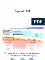 Types of Emt