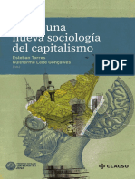 Hacia una nuevo Sociologia del Capitalismo