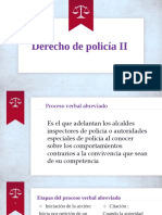 derecho de policia 2